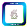 Clary Sage Essential Oil