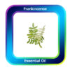 Frankincense Essential Oil