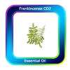 Frankincense CO2 Essential Oil