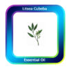 Litsea Cubeba Essential Oil