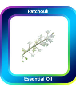 Patchouli Essential Oil