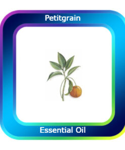 Petitgrain Essential Oil