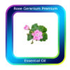 Rose Geranium Premium Natural Blend Essential Oil