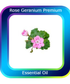 Rose Geranium Premium Natural Blend Essential Oil