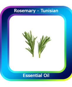 Rosemary Essential Oil - Tunisian