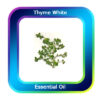 Thyme White Essential Oil