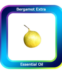Bergamot Extra Essential Oil