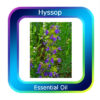 Hyssop Essential Oil