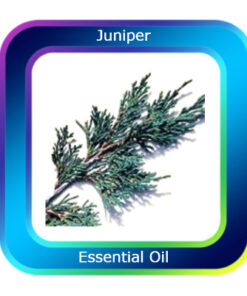 Juniper Essential Oil