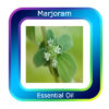 Marjoram Essential Oil