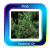 Pine Essential Oil