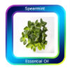 Spearmint Essential Oil